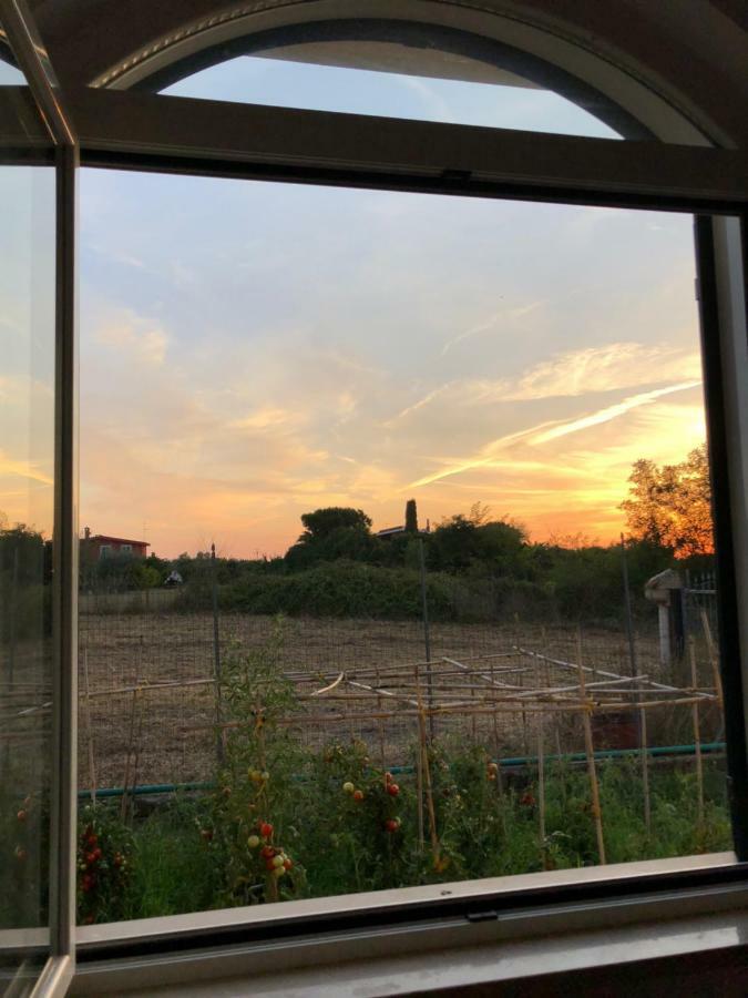 Agriturismo "Lo Zafferano" 艾普瑞利亚 外观 照片